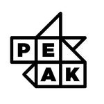 software logo